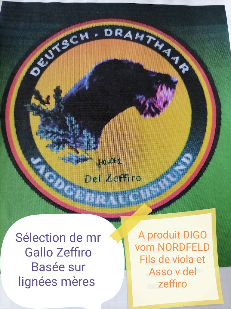 Digo vom nordfeld